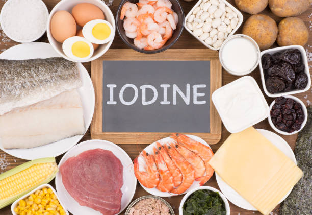 White fish and dairy products as iodine sources